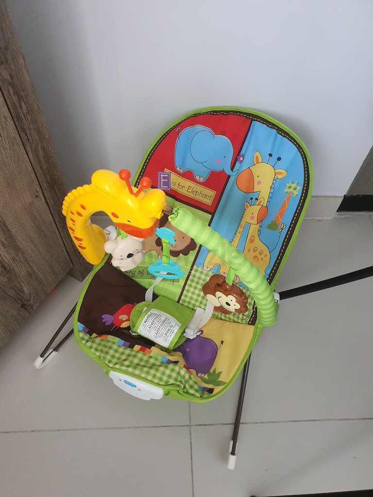 Baby Chair & Swing with Vibration